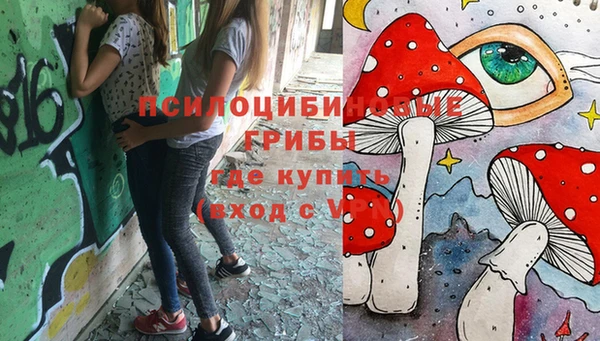 COCAINE Майский