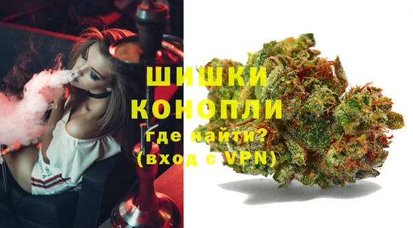 a pvp Магас