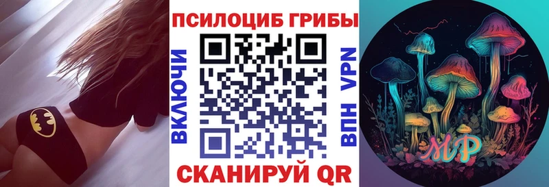 где купить наркоту  Терек  Псилоцибиновые грибы Magic Shrooms 